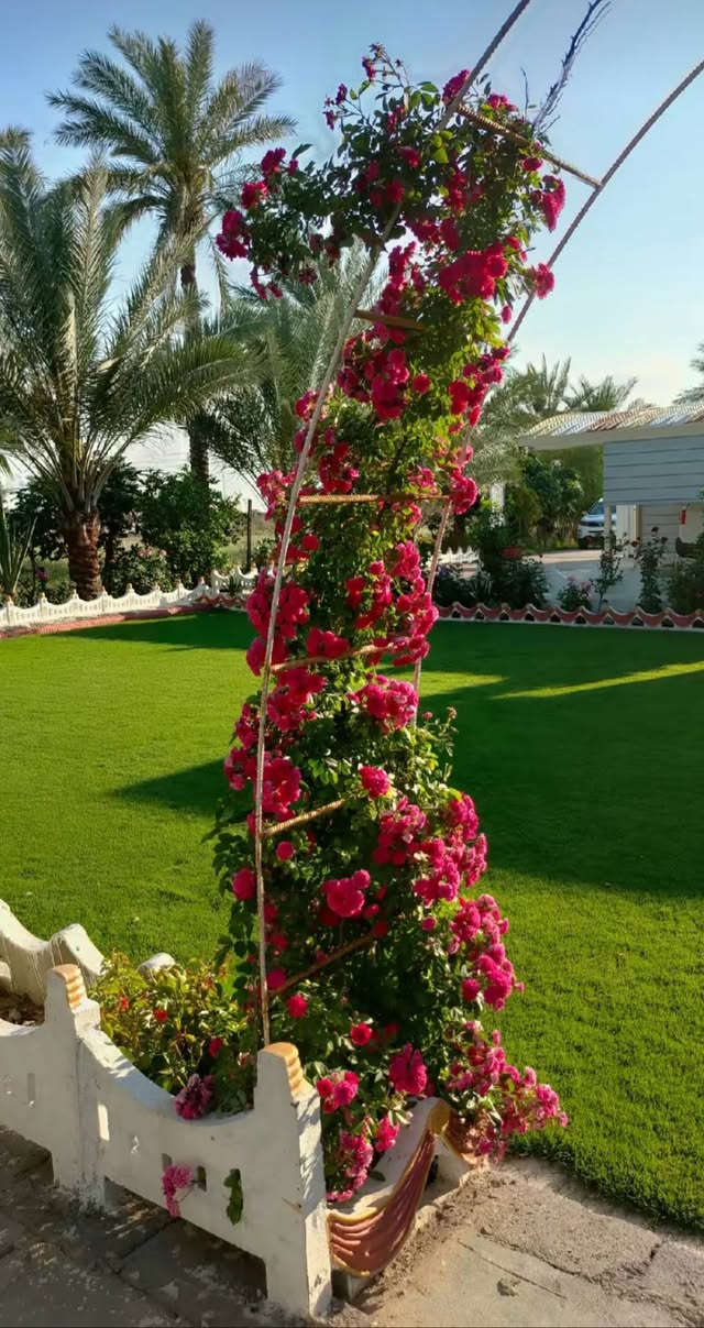 السلام عليكم يتوفر للديكور حدائق وأسعار مناسبة استفسار مراسل الصفحة او الاتصال على الرقم *********** واتساب
