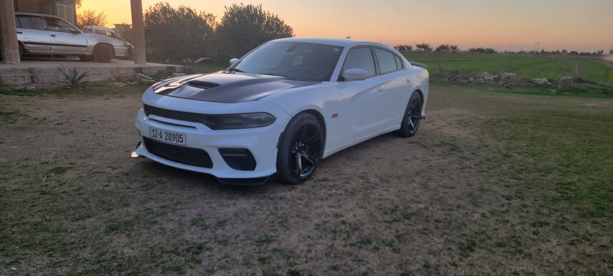 دوج تشارجر اسكات باك 🐝 اصل اس ارتي 6400 مكينة وكير وحدادية جاهز ادامة كامله عليها بلكات ريسنك برمجة وتفريغ دهن مكينة وكير وفلتر جديد شاشة اس ارتي دركة اس ارتي شعار 392 دشبول وشاشة ودركة شعار 🐝 بالكشنات غرفة بلاد مواصفات تشغيل عن بعد تدفئة وتبريد بالكشنات شفتات استيرن حساس امامي خلفي تحكم استيرن كامل صندوك بصمة بصمة ابواب وتشغيل ويل 20اصلي نقط عمياء رقم نينوى انكليزي وباقي المواصفات المعروفه جاهزة للاخير موديل 21 ممشى 36ميل السعر ٢٧٥ للبيع او للمراوس عنواني غرب سجن ابي غريب رقمي *********** بغداد, العراق
