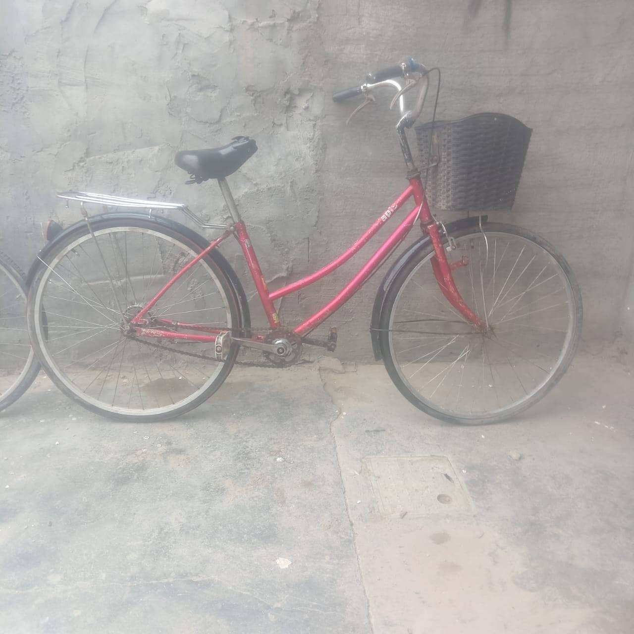 السلام عليكم
بايسكلات اثنين حجم 26 ياباني

السعر سعر  البايسكل الواحد 25 واثنينهن 50

رقم الهاتف  ***********
