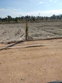 شافعيه • ٢٥ دونم • سند