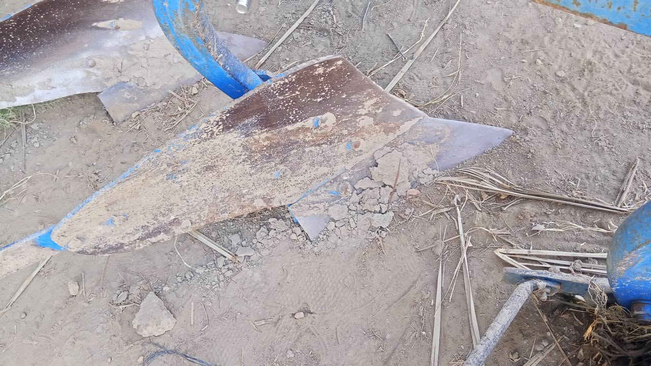 يا الله سلام عليكم فدان لبيع نضيف حيل من هاذا العادي سعره 500الف بل يوسفيه التواصل ***********
