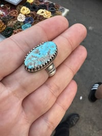 رضوي نيشابوري • طبيعي • صياغة ثقيلة