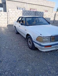 هورتوب • فحص صلاح الدين • ما مسجل