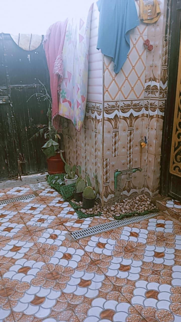 بيت زراعي سند 25 مساحته 100 متر بناء طابوق نهايت شارع الوكفه منطقة ال أبو جاسم خلف أسواق كرزه التصال علا رقم الهاتف ***********
