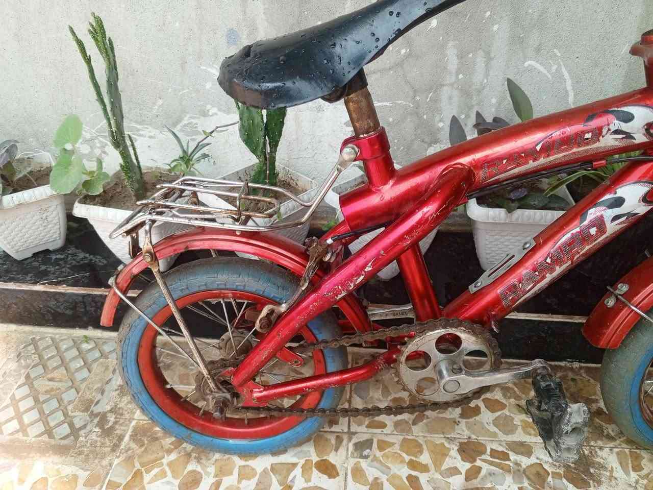 باسكل للبيع السعر 25 بي مجال


**إذا كنت صاحب هذا الإعلان وتريد حذفه لأي سبب، رجاءا أرسل رسالة إلى الدعم الفني**