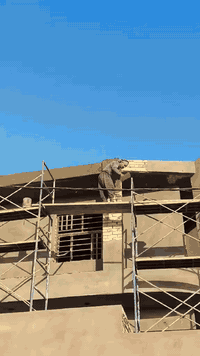 اللباخ علي ابو جود لبخ وسقل سمنت وجص حسب الطلب شغل درجة اولى واجهات منازل شغل مرتب  ونضيف اتصل وتدلل مكاني الحمزه الشرقي حي الحسين ***********👇 شغلي والرزق الحلال على الله ♥️
