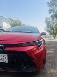 كورلا LE • ٢٠٢٠ • رقم كربلاء