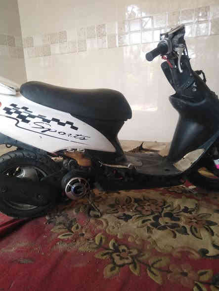 عصفوري للبيع مامفتوحه صوته ناعم سعره ٢٢٥ وبيه مجال عوزه كفر امامي ***********
