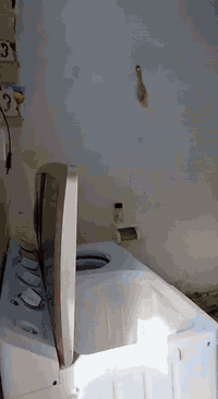 بيت مساحة 100 متر تقريبًا بالتجاوز مال ابو الدشير شارع الضغط قرب اسواق الحجية للأستفسار والسعر ***********
