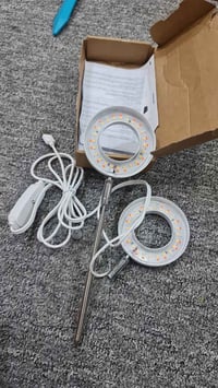 نباتات ظلية • للبيع