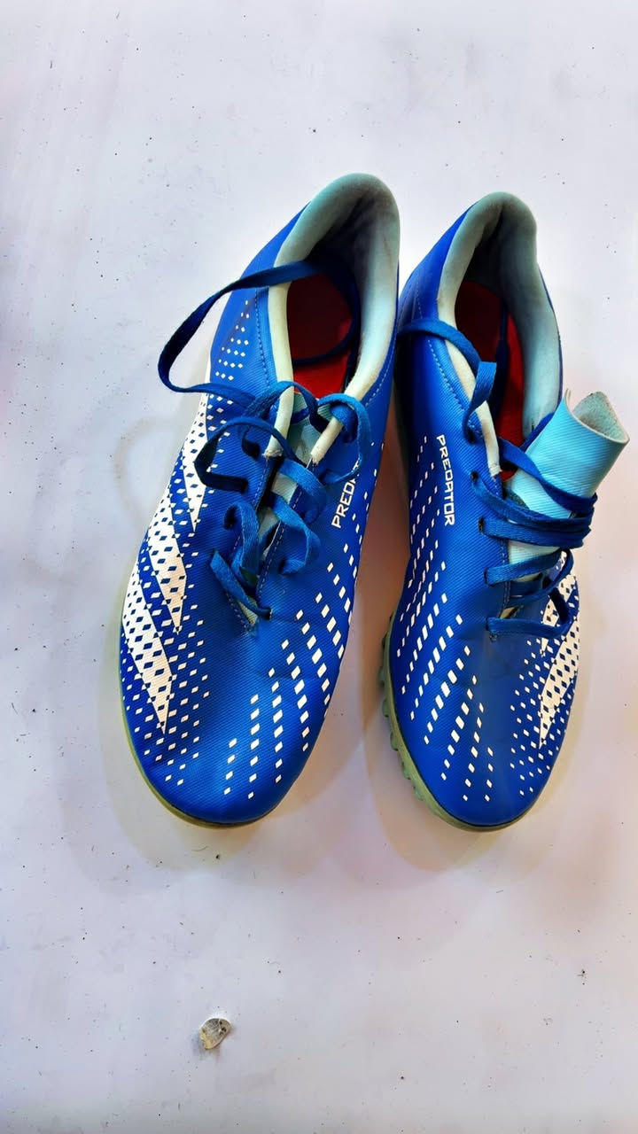 قياسات42 باله فول نضافه
سعر40 الف


**إذا كنت صاحب هذا الإعلان وتريد حذفه لأي سبب، رجاءا أرسل رسالة إلى الدعم الفني**