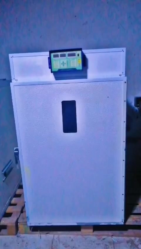 مفقس بيض العدد مفقسين كامل بدون اي نقص وشغال ياخذني الف  ٣٤٤ بيضه السعر اثنينهن ب٨ ورقات


**إذا كنت صاحب هذا الإعلان وتريد حذفه لأي سبب، رجاءا أرسل رسالة إلى الدعم الفني**