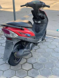 ماكس عدلة • بوشة 49 • بلادي