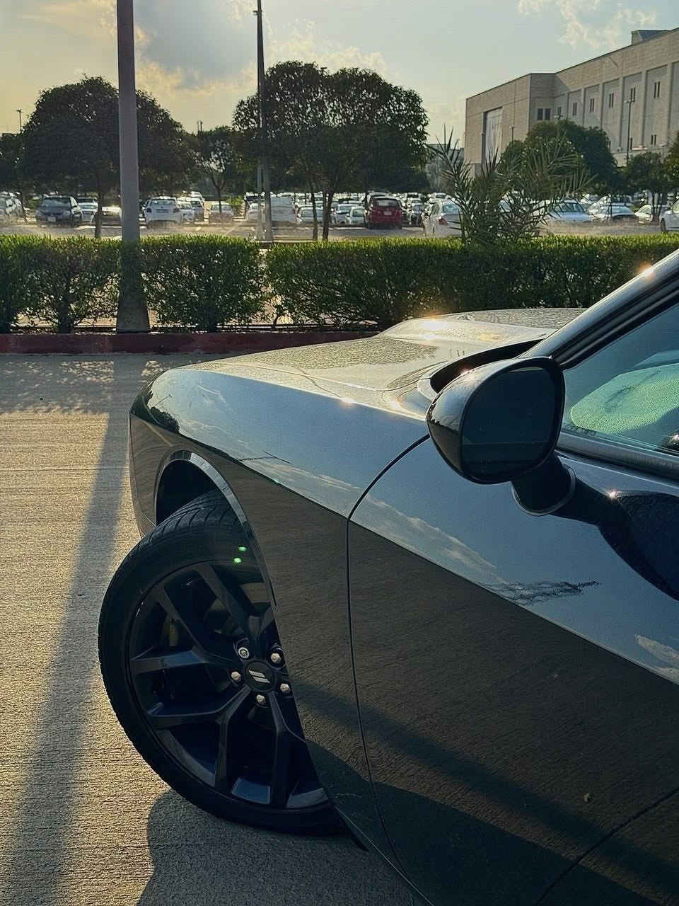 جالنجر GT 2021 كلين
2021 track pack black edition

مواصفات سوبر تراك شاشة كبيرة

دبلات وبريكات تخم كامل RT بلادي

سماعات ALPINE كشنات حضن

ماشية  27ميل

السيارة على وضع الشركة برغي ما مفتوح بيها

سيارة مكفولة من الدعامية للدعامية بدون حادث بدون تبديل بدون صبغ بدون بارد 

السعر 256

للأستفسار ***********
