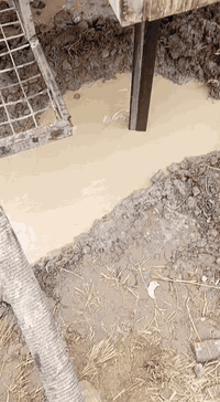 لحفر الابار الارتوازيه ***********
***********
مستعدون الحفر الابار وتعبرات الشوارع وتجفيف المنهولات نعمل في كافه محافضات العراق دقه في العمل وسرعه في الانجاز ونعمل تجفيف الارض الشركات الاهليه والحكوميه نعمل حفر الابار كاقه الاحجام ونعمل حفر يدوي والي
