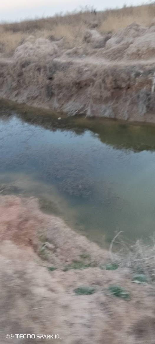 سلام عليكم 25دونم سندها📜 117بسم شخص واحد 👋
يعني مو مشترك 

مي وكهرباء تبعد كيلو متر 
سعر 💵دونم 5ونص وبيها مجال 👍

تعامل مع صاحب لانة 
بغداد نهروان 
تفاصيل اكثر داخل فيديو ✅

تواصل ***********📱
