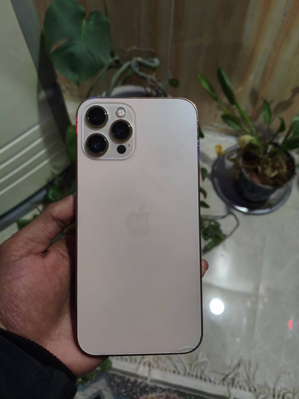 ايفون 12 برو ماكس ذ 256 بطارية 80% الجهاز مفتوح بس ممبدل بي شي شرط الفحص حط سعرك وادخلك خاص ❤️


**إذا كنت صاحب هذا الإعلان وتريد حذفه لأي سبب، رجاءا أرسل رسالة إلى الدعم الفني**