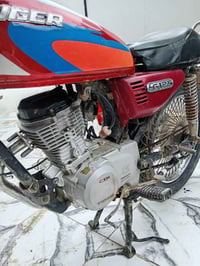 تايكر • موديل ١٨ • بدون أوراق