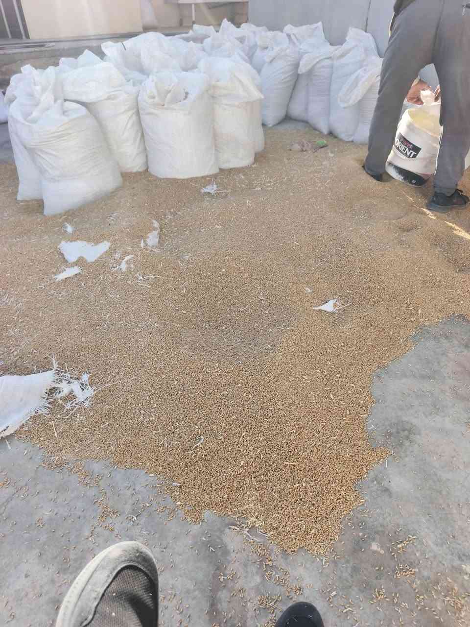 كادر عمل جزء من عملي ومن الله التوفيق ***********
