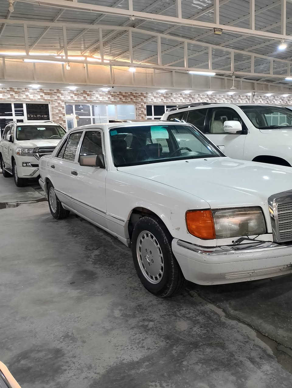 سلام عليكم البيع مارسدس موديل 1989صبق جماليه سياره جديد بعنه الكلمه سياره كفاله عامه من الضربه وطخه وكل نواقص الف ماذب عليه حتا الكلوب بل غماره من تفتح الباب يشتغل رقم بغداد دولي بسمي تحويل ثاني يوم سعر 65وبيه مجال انتصال على الرقم الهاتف ***********
