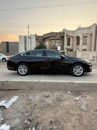 موديل ٢٤ • تقرير مياة • بدون صبغ