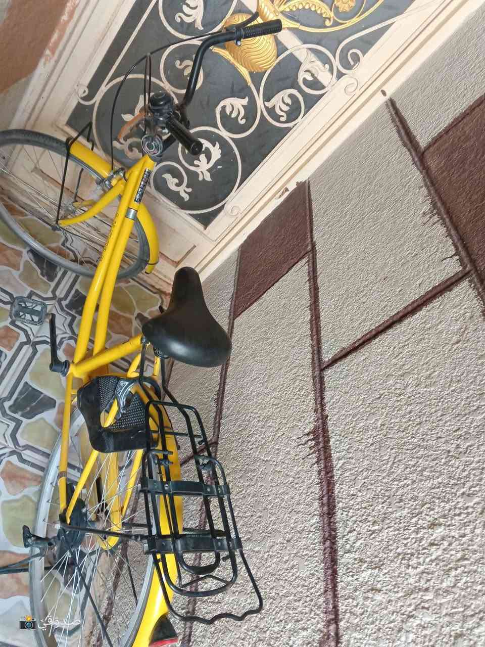 بايسكل ليموني حجم 26 للبيع فول مواصفات نضافة جديد مكفول من كلشيي بريك أمامي وخلفي جاملغ امامي وخلفي السعر/150/العنوان كربلاء المقدسة شارع طارق الخيكاني قرب ساحة عذاب
بايسكل ليموني حجم 26 للبيع فول مواصفات نضافة جديد مكفول من كلشيي بريك أمامي وخلفي جاملغ امامي وخلفي السعر/150/العنوان كربلاء المقدسة شارع طارق الخيكاني قرب ساحة عذاب


**إذا كنت صاحب هذا الإعلان وتريد حذفه لأي سبب، رجاءا أرسل رسالة إلى الدعم الفني**