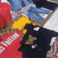 شلعه ريد بيعهن تفاصيل خاص اوتصال 07767482540