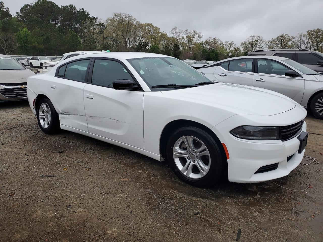 الهم صلي على محمد وال محمد 

جارجر 2023 اصل SXT دخول السنه 2025

بدون رقم بدون تصليح ابيع على ضربته جايه من امريكا 

مدفوع كمرك مالته وسياره باسمي ابصملك وين ما اتريد 

مكان السياره البصرة 

السعر 255 ورقه وبيه مجال للشراي 

ما اراوس فقط بيع فقط بيع 

***********

الله يرحم والديك اتشوفني ابيع غالي سعري ما ايناسبك اعبر المنشور الله يرضى عليك
