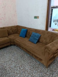 تخم وديوان • درجة أولى • للبيع