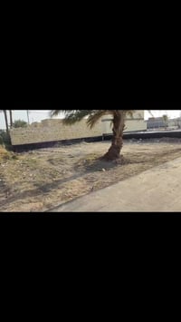 الزگندري الجديد • ١٦٢م • سعر مناسب