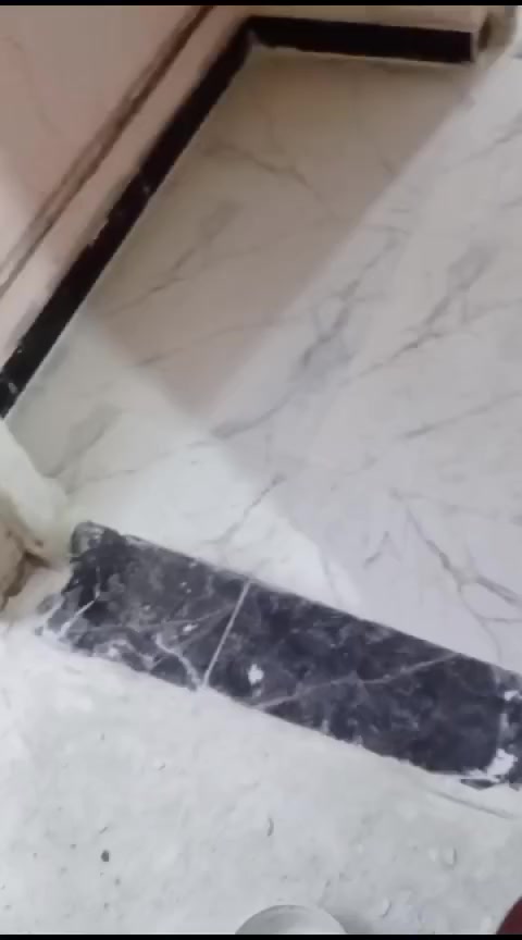 بيت خلفي 80م بسومر بي غرفتين فوك قريب ع حي معلمين ب70 وبي مجال الشراي


**إذا كنت صاحب هذا الإعلان وتريد حذفه لأي سبب، رجاءا أرسل رسالة إلى الدعم الفني**