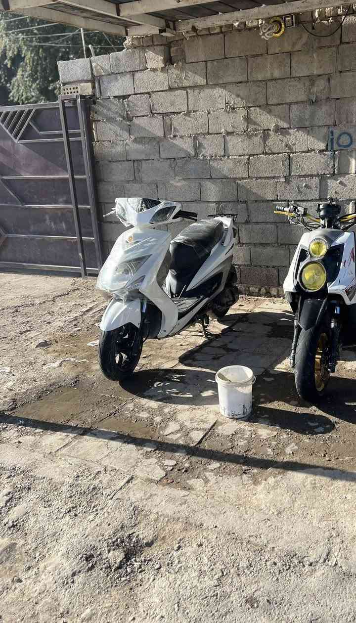 سلام عليكم درجات للبيع كفاله ثنين جبلي رمبه صار له 4اسبيع من نزلت وثنينه لد حديث مكفوله من كلشي جبلي سعره 1 وربع /ولد واحد مكان بغداد شعله رقم *********** شراي يجي وتساب
