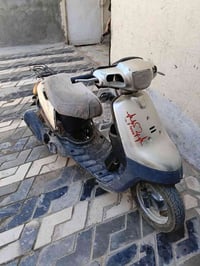 بطة • للبيع • مقايضة
