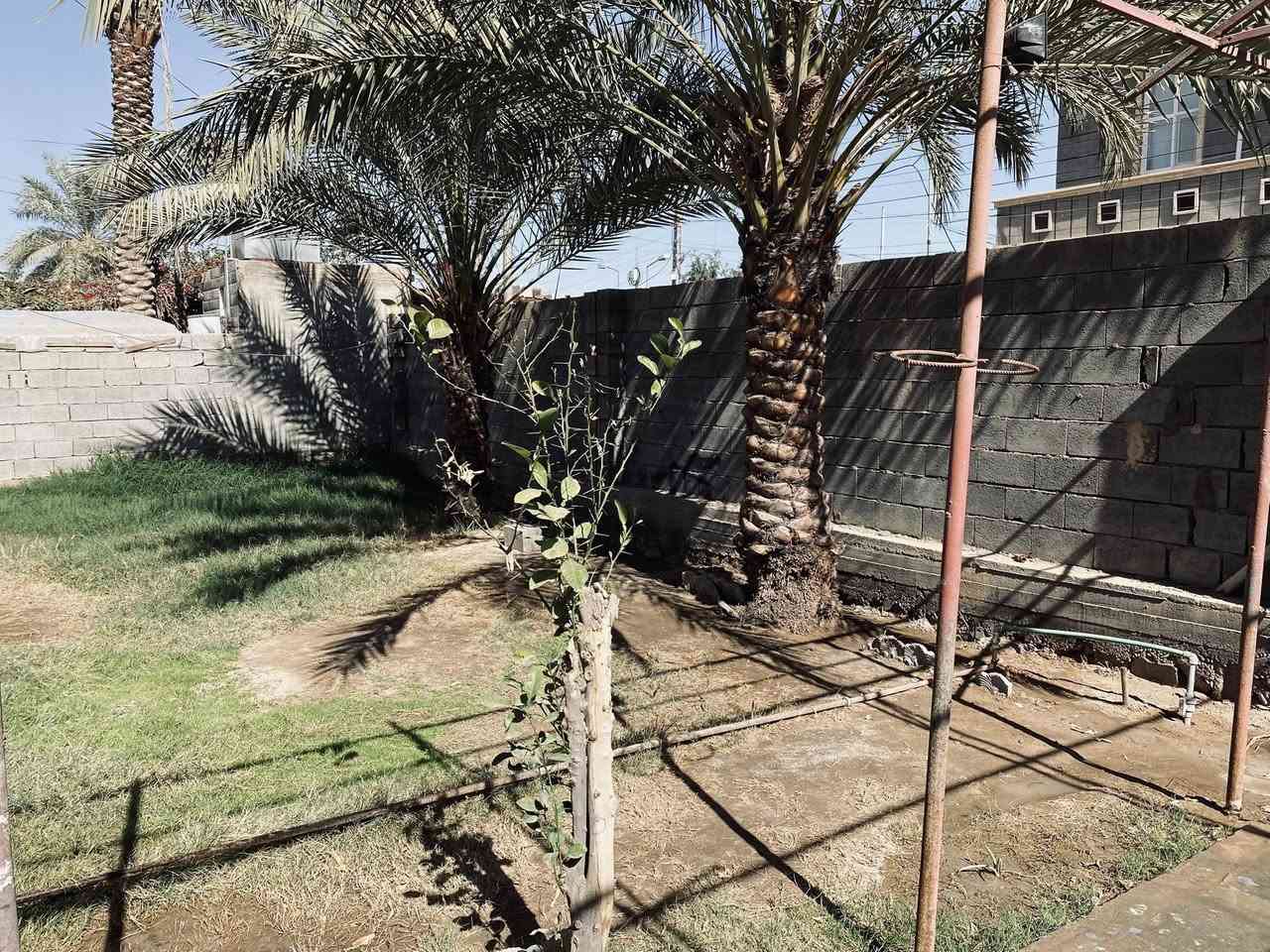 الدار للبيع المساحة ٣٠٠ متر طابوا ملك صرف
الموقع الانبار الرمادي السكك
يحتوي على صالة ، ثلاث غرف نوم ، مطبخ ، حمام ، بيتونة
كراج ، حديقة وترك جانبي. 
للاستفسار التواصل على الرقم ***********
