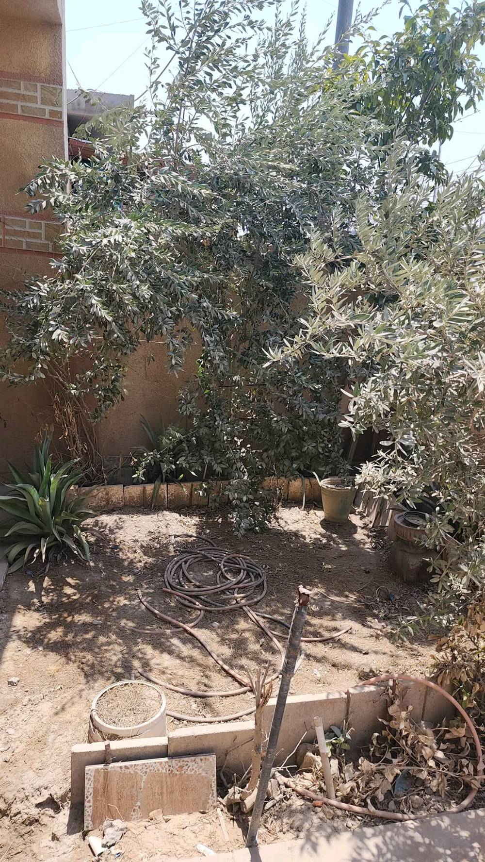 السلام عليكم بيت للبيع منطقة ابوغريب منطقى حي الصديق عرب جلوب يصحوله البيت في بدايه شارع20 التجاري يعني على شارع قرب مطعم القلعه بصف وكيل الطحين مساحه البيت 100 متر قاطين يتكون من صاله ومطبخ وحولي وغرفه نوم وتركين  القاط الثاني غرفه كبيره مع مخزن في السطح الاول البيت بناء بلوك 
