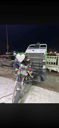 متاح ستوته فحل عالي شاخوان باب الاول 2023كلها شرط مرقمه سنويه شراي خاص...