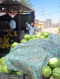 طماطه • ركي • تفاح • خيار • بصل • طرعوزي • بتيته • بطيخ • لهانه • فلفل...