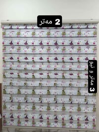 ستارة زيبرا • كركوك