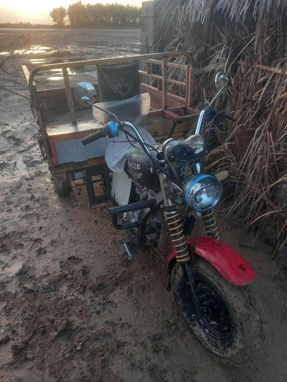 متاح ستوته موديل ١٤ شغاله اوراق اصوليه 
للاتصال ‎***********
