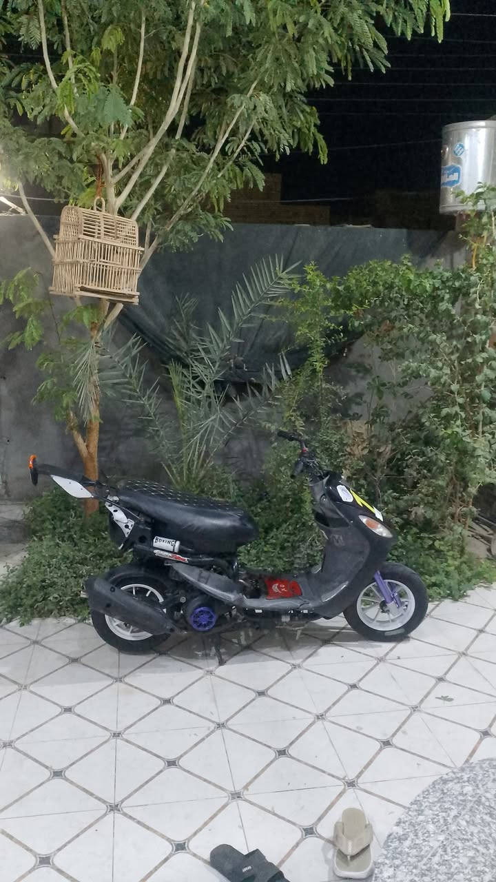 للبيعععع تفيدك تعال خاص كلشي شغال عنوان اسكان الاصناعي رقمي ***********
