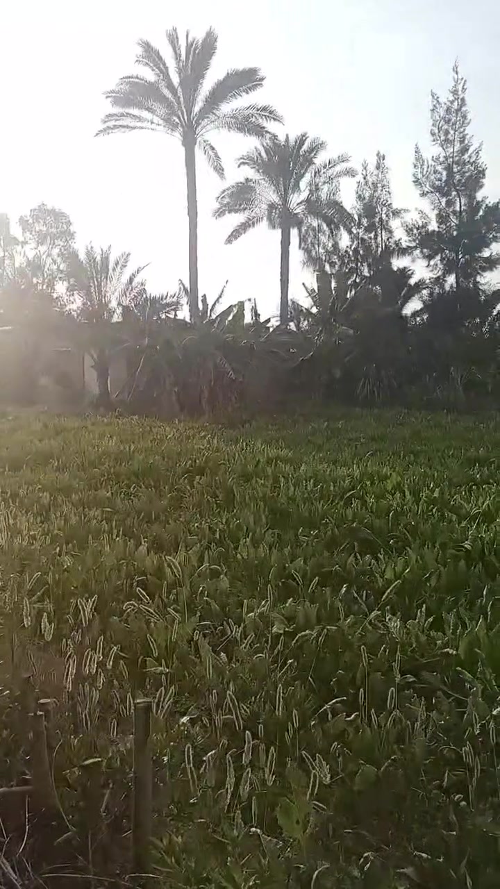 2فدان ملك حر جمعية زراعيه جمصه الدقهليه وبيت وحظير ه مواشي علي ترعه رئيسيه أسلفت كهرباء ومياه حاجه حلوه 01009792093


**إذا كنت صاحب هذا الإعلان وتريد حذفه لأي سبب، رجاءا أرسل رسالة إلى الدعم الفني**