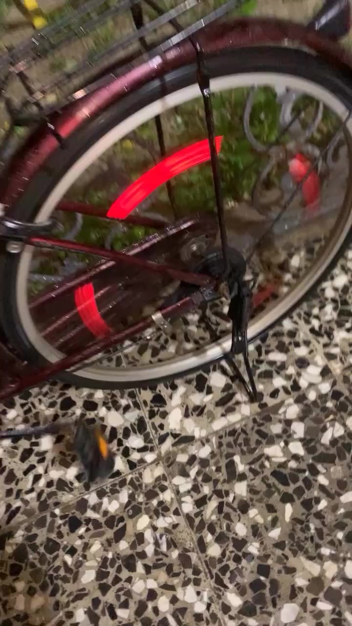 السلام عليكم بايسكل سياحي للبيع شراي ادخلي خاص وبخدمتك


**إذا كنت صاحب هذا الإعلان وتريد حذفه لأي سبب، رجاءا أرسل رسالة إلى الدعم الفني**