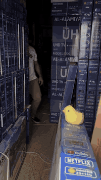 جوه سوك تصفيه مخازن المستقبل للحجز ٠٧٧٣٣٣٣٠٦٣٥