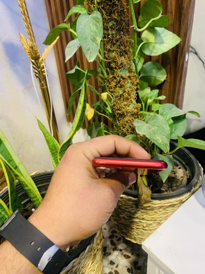 ايفون ١١ ماستر كامل ملحقات
بطارية : ١٠٠مبدل من شركه ابل 

ذاكرة : ١٢٨ 

فيس ايدي شغال 

السعر٢٣٠

دبل خط 

شاشه تفصيخ مال وكاله شرط 

نضافه الجهاز١٠٠بل١٠٠

مكاني حله ابو خستاوي  

‏***********
