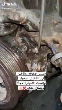 سماوه • مركز الرائد • برمجة وفحص النوزلات