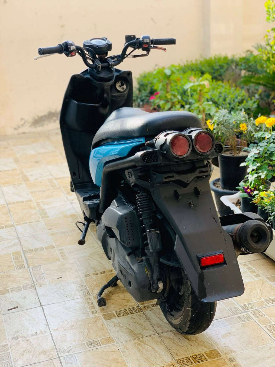 سكنس جبلي قبل 4 أيام طالعه من رمبه مكفولة السعر/1100 وبيها مجال لشراي 
حله مركز المدينة 
***********
