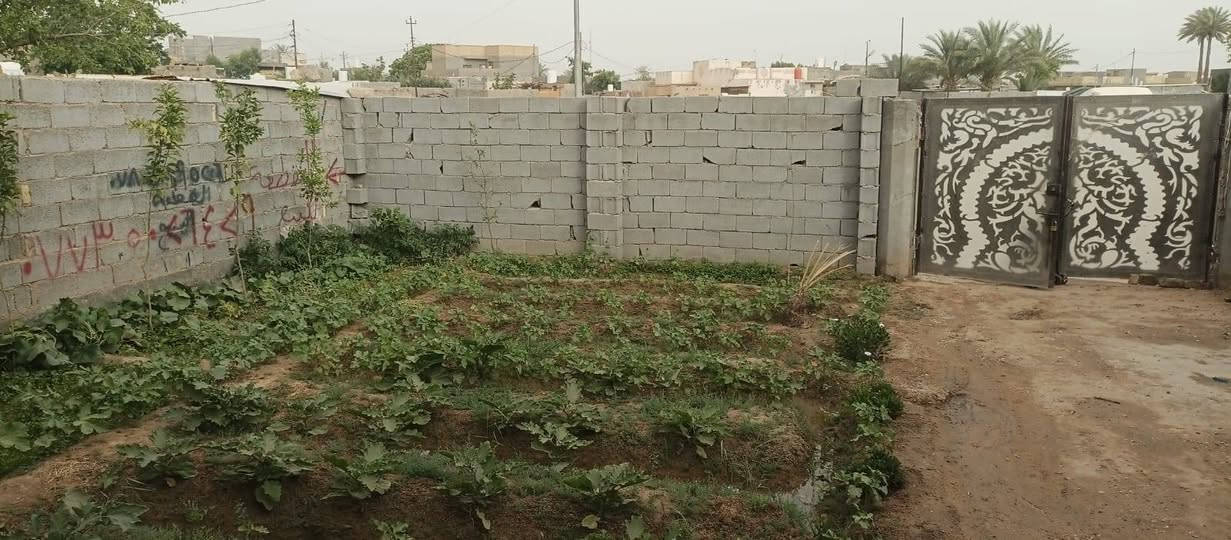 منزل للبيع في المحاويل حي السلام قرب مدرسة الفاو الابتدائية المساحة 300 متر طابو زراعي سند 25 بناء حديث عام 2025 توجد كافة الخدمات ماء كهرباء مولد المنكقة ذهبي السعر 55 قابل  للتفاوض باقي التفاصيل يرجى الإتصال على الرقم التالي واتساب *********** و اتصال ***********
