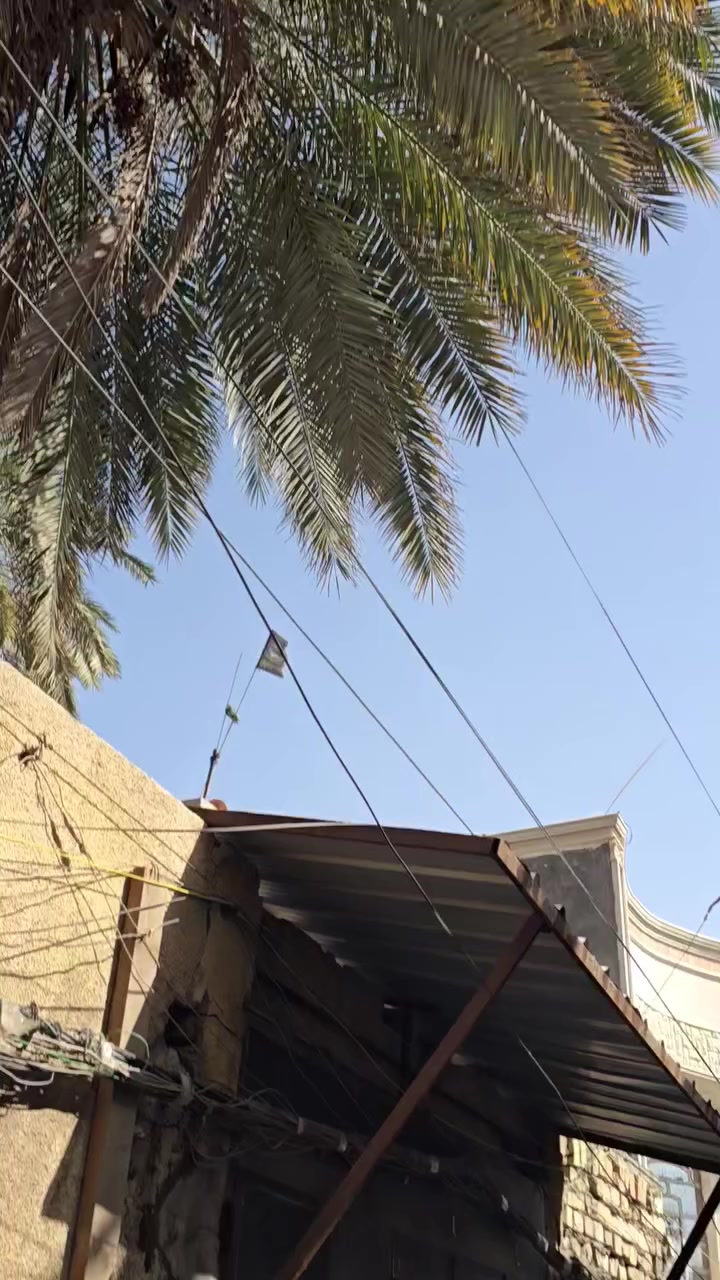 سلام عليكم سكنز جبلي 2017 رمبة مكفولة كفاله عامة
دراجة بيهة هواي غراض اصلي 
ستيرن كرزي ابو الارقام 
لقم ستيرن اصلي 
طرر كرزي اصلي 
جاملغ امامي الياف كاربون 
قبق شوتة الياف كاربون فايبر 
ذيل رياضي حديد اصلي 
درع مازدات حديد اصلي 
سبايدر قطعتين حديد اصلي 
دراجة بيهة ضربة بصيطة ومكحلة وموضحة بل صور بل كرن مال بجم اجتي من رمبة هيج 
عنوان بغداد الشعلة 
للاستفسار  ***********
واتساب وفيس وتصال ماعندك رصيد رمشلي اخابرك 😅
