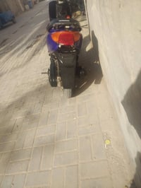 عصفورية • شغالة • مستعجل