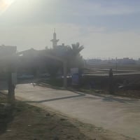 القوسيات • ١٨٠م • سند ٢٥